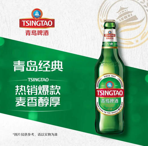 【啤酒】青岛啤酒 经典啤酒8°P 500ml/瓶 商品图0