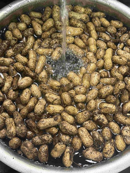 【丽姐农场胶东生态甜花生】晒干发货 3斤/5斤 顺丰快递 商品图7