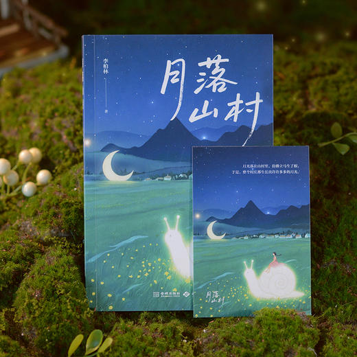 《月落山村》写进语文试卷的美文散文，多篇文章入选中学语文阅读题 商品图4