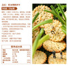 嘉士利饼干零食 营养早餐饼干 葱油薄脆饼干828g/整箱装香葱 零食礼盒 商品缩略图1