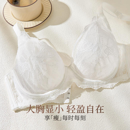 奶糖派华尔兹蕾丝全罩杯文胸秋冬承托聚拢防下垂法式优雅内衣女 商品图1