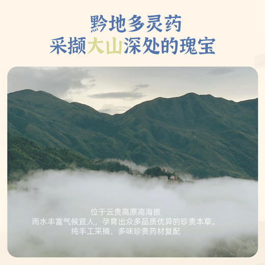 真不二天然草本儿童贴系列利眠/利感/肠胃贴~ 商品图2