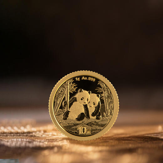 2026年熊猫金币带盒 商品图2
