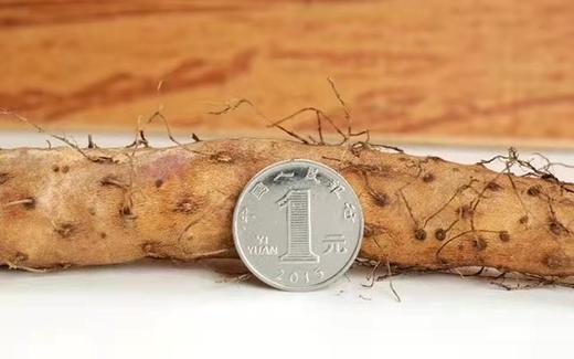 温县垆土铁棍山药 商品图3