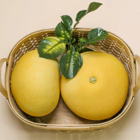 【玉环 文旦柚】果肉细嫩，颗粒紧致细密。果肉晶莹剔透，果汁饱满，几近无核，可食率非常高。