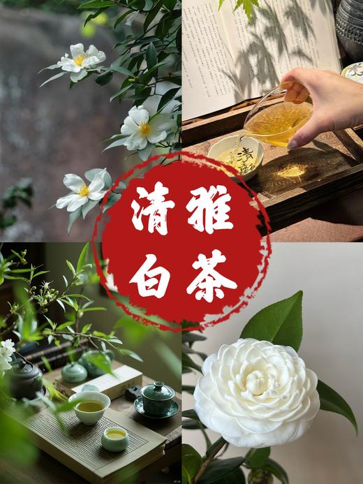 【繁花陶瓷香膏】敦煌繁花古风固体小众香膏雪中春信小众持久留香 商品图7