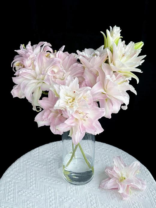 【满眼皆是重瓣百合】女神重瓣百合多头1支4朵+泽塔重瓣百合3头1支3朵+冲浪者重瓣百合1支4朵+碧海蓝吸色重瓣百合1支4朵/份 商品图1