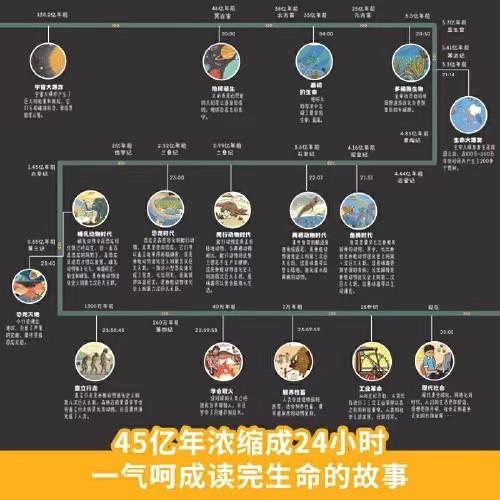 《生命的一天》精装一册  6-12岁   宇宙生命历程浓缩于一天 回答孩子万物起源的历程  全国首席科普传播专家王章俊审读  央视《第一时间》栏目推荐 商品图2