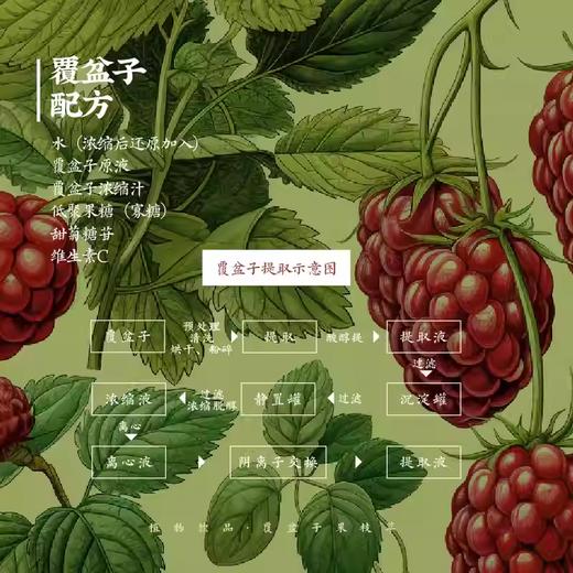 活法儿覆盆子果汁萃浓缩汁原液冲饮果汁植物饮品盒装含16袋480g 商品图3