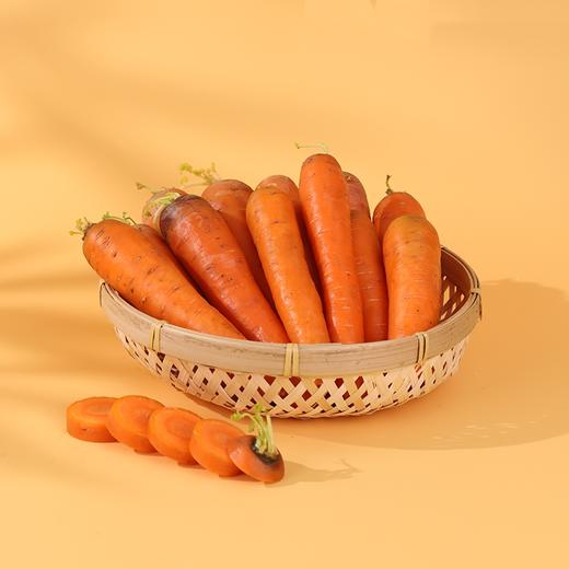 心无杂念的胡萝卜，扎根高原，才能甜得毫无杂质 内蒙高原胡萝卜 5斤/箱 商品图1