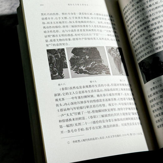 通俗化与新文学变迁 以上海报刊小说为中心 1927—1937 许海洋 商品图11