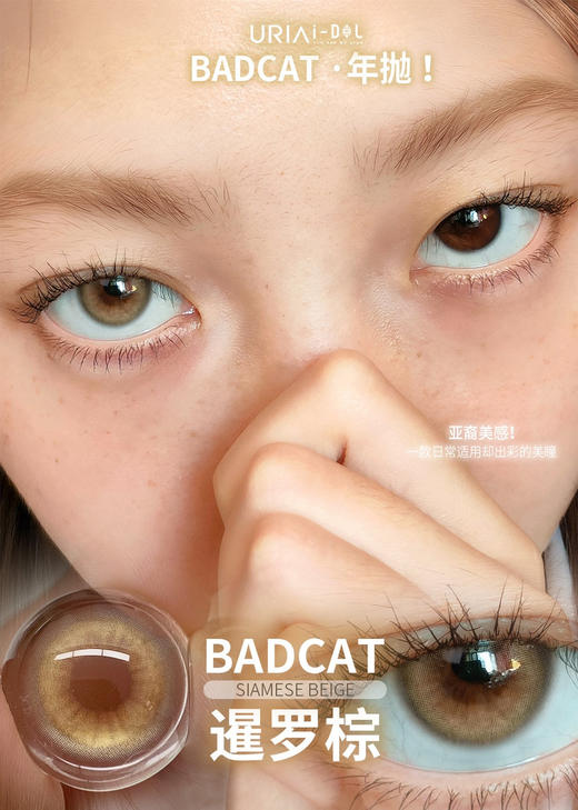 IDOL年抛 BADCAT  
Siamese beige 暹罗棕 直径14.0   度数范围0~1000 商品图0