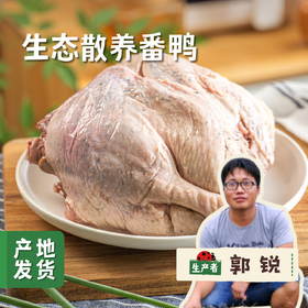 生态散养番鸭 | 合作农友生产，产自广州从化，生产者：郭锐 *【公平贸易农人定价】