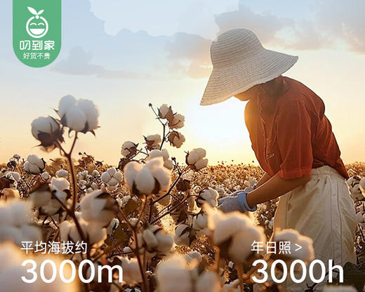 童臻童宇青少年莱卡棉家居服套装（香草紫）/1套（M码，适合32.5-40kg）补单专用 商品图1