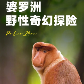 【东南亚】去联合国遗产地婆罗洲！红树林、京那巴鲁公园、马来熊保护中心、原生态海岛，感受地球生态的启蒙！
