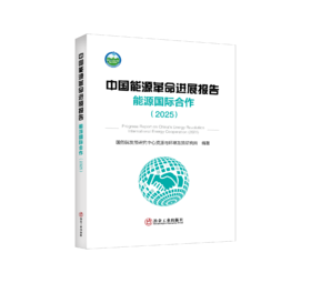 中国能源革命进展报告  能源国际合作（2025）
