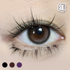#Eetlle 虞美人的一粒星 黑/巧/紫 14.0mm【1片装】舒适推荐 / 年抛 商品缩略图0