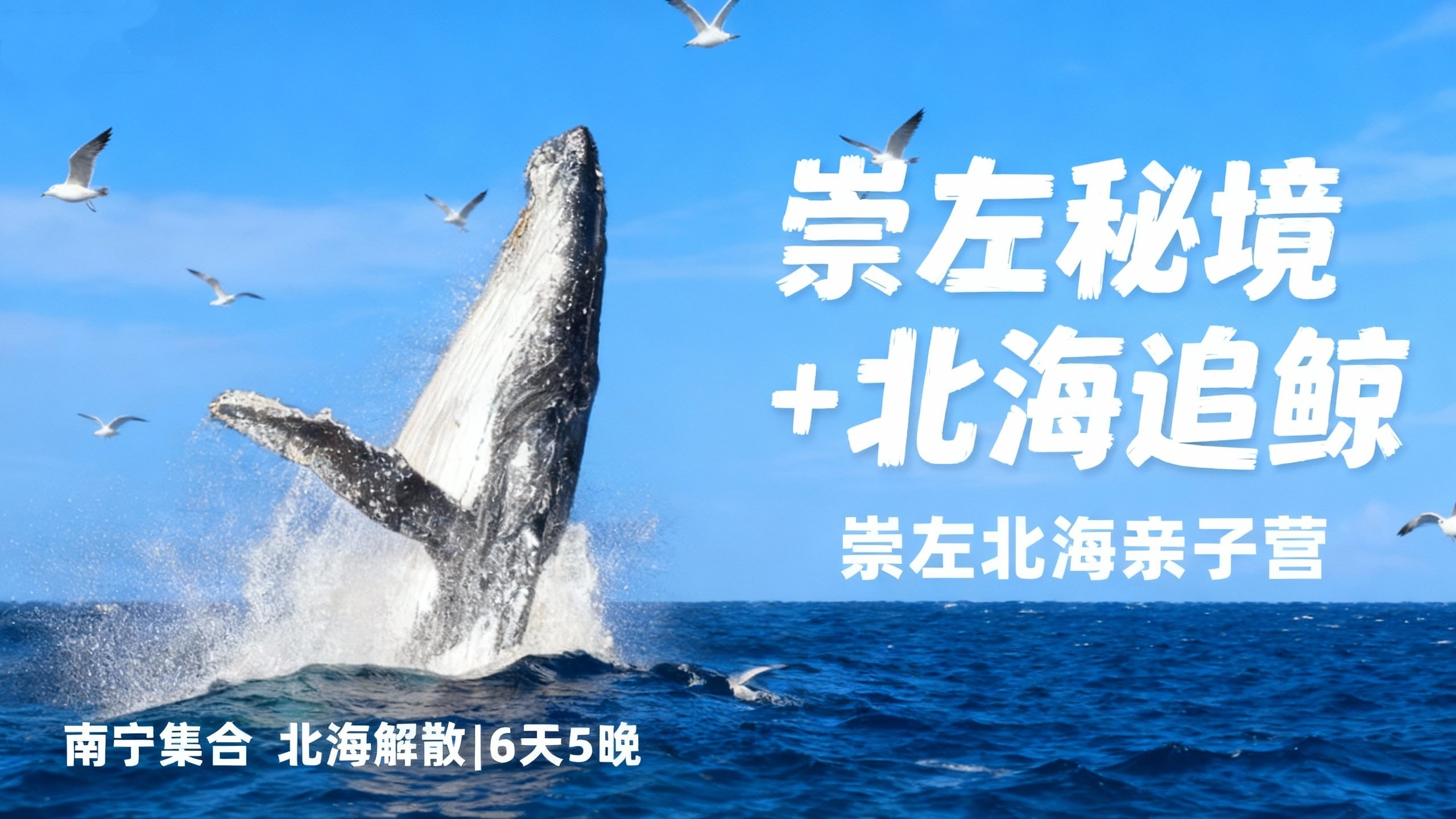 立减￥800/人！寒假崇左B线【秘境崇左+北海追鲸】6天5晚亲子游！每年1-2月最观鲸期，错过等一年！德天瀑布界河竹筏，横跨中越边境线！穿越原始雨林秘境，寻濒危白叶猴~