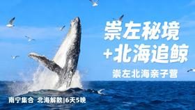 立减￥800/人！寒假崇左B线【秘境崇左+北海追鲸】6天5晚亲子游！每年1-2月最观鲸期，错过等一年！德天瀑布界河竹筏，横跨中越边境线！穿越原始雨林秘境，寻濒危白叶猴~