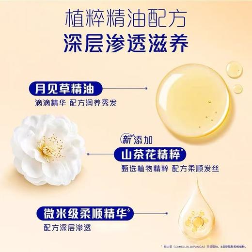 飘柔润养柔顺润发乳400ml 商品图2