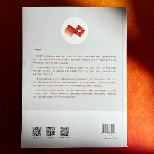 初中数学双线通16章 初中数学自学 贯通培养 王永春 商品图2