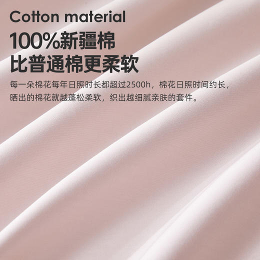 60支全棉素色拆件(仙仙粉/香槟银) 商品图2