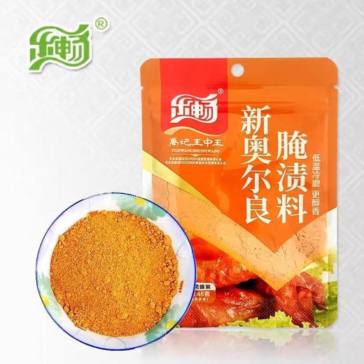 乐畅 新奥尔良腌渍料家用调料 45克/袋 商品图0