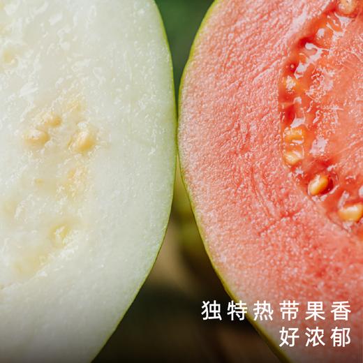 艾格吃饱了广西红白心双拼芭乐软糯果香浓郁 商品图1