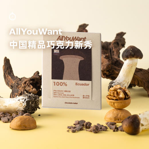企鹅市集|中国精巧新秀AllYouWant 单一产区黑巧排块45g 大奖黑马 巧克力碎 商品图2