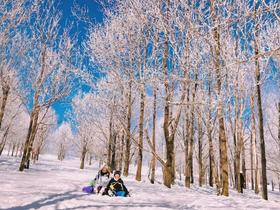 5星好评畅玩雪季 | 哈尔滨亚布力雪乡环线，让全网羡慕的玩儿法看这里