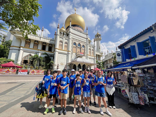 寒假独立营【新马奇遇记】7天6晚青少年东南亚文化探索营：参访南洋理工大学、拉曼大学；马六甲历史文化体验溯源；狮城知名历史文化初探；牛车水多元文化真人挑战； 商品图3