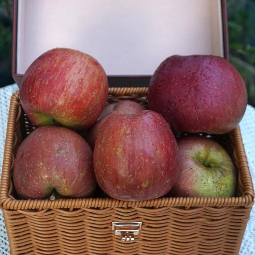 010昭通丑苹果| Yunnan Apple  长得丑但真的好吃  高原自然熟 脆甜可口 越嚼越香 带皮啃才过瘾 商品图6