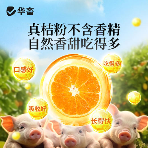 华畜健胃桔子粉维生素开胃健胃促食猪牛羊禽用催肥调理肠胃促生长 商品图5