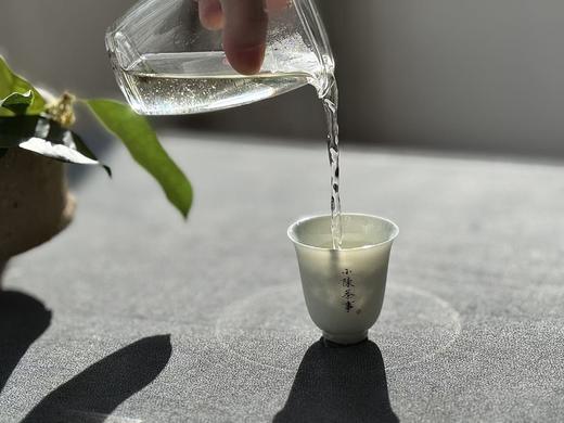 【新品特惠，买5送1】2022荒野老枝出饼干茶便携装，出差旅行也能随时喝到太姥山荒野茶了！！ 商品图11