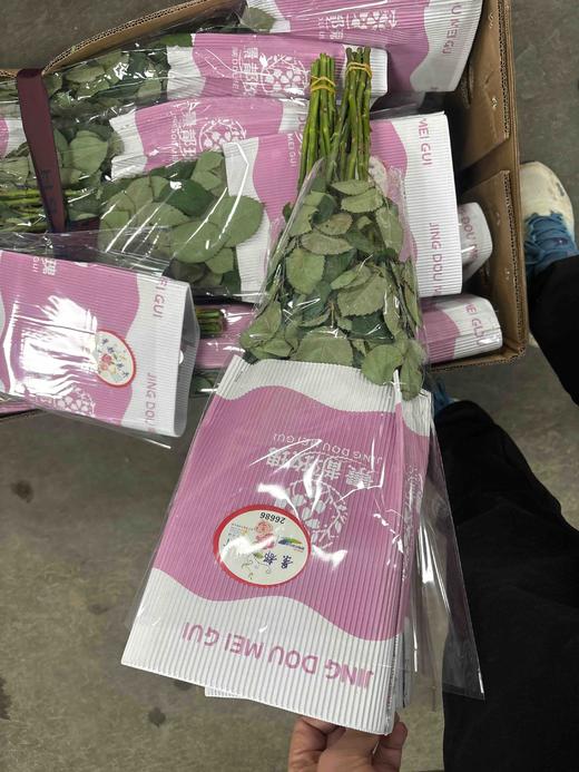 景都曼塔A 商品图3