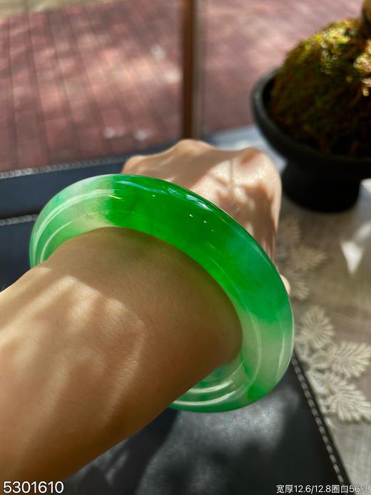 粗圆条艳绿手镯【5301610】圈口56.3~具体价格微信咨询 商品图4
