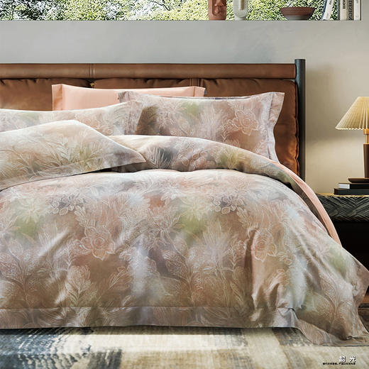 鑫缘 艾棉超柔印花四件套  DMJ8418-20 商品图0