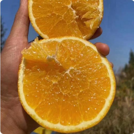 带叶脐橙（江西）约1000G /份 商品图2