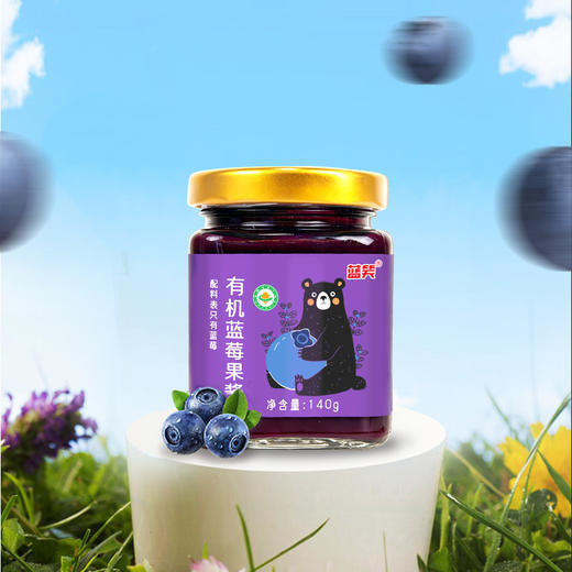 有机蓝莓果酱140g酸酸甜甜配料只有蓝莓 商品图2