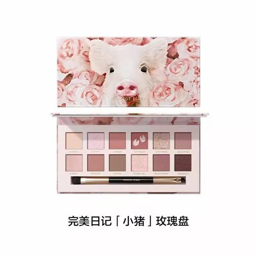 完美日记探险家十二色眼影盘日常百搭淡妆多色系 商品图2