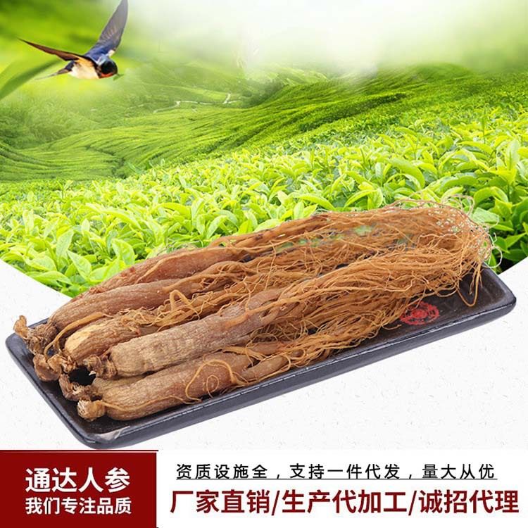 全须红参 厂家批发 长白山红参东北特年货礼品 红参全须