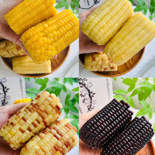 【非转基因】四拼玉米  花糯玉米/黑糯玉米/白糯玉米/黄糯玉米 8根 商品图5