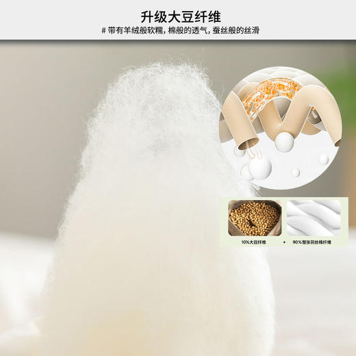早先生 双拼大豆冬被（6斤）【放心甄选】【够意思】 商品图2