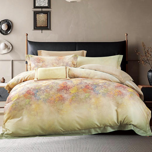 鑫缘 艾棉超柔印花四件套  DMJ8418-20 商品图3