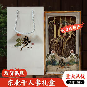 林下参 4根一盒单支10年左右整枝长白山林下参干货 生晒参