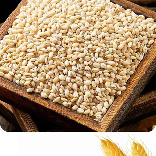 生态黑青稞米青稞米  孔荡大爱农场酵素自然农耕种植500g/袋【京东快递送货上门】 商品图3