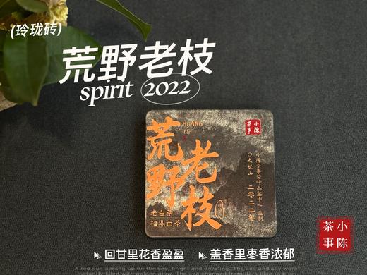 【新品特惠，买5送1】2022荒野老枝出饼干茶便携装，出差旅行也能随时喝到太姥山荒野茶了！！ 商品图3