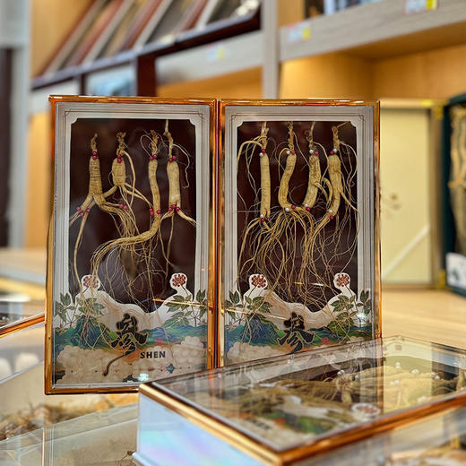 林下参 4根一盒单支10年左右整枝长白山林下参干货 生晒参 商品图3