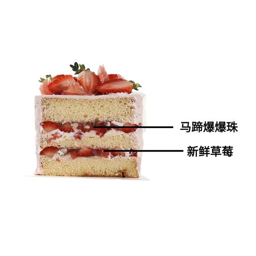 绯色莓果【动物奶油生日蛋糕W】 商品图2