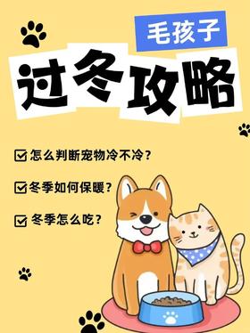 宠物冬季养护指南
